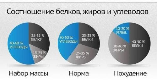 Оптимальное соотношение белков, жиров и углеводов.