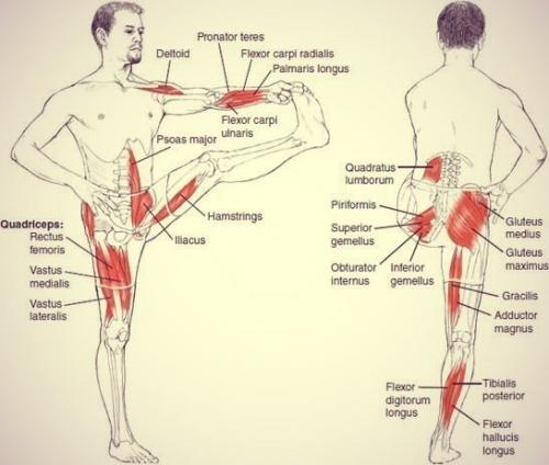 Растяжка всего тела! 05
