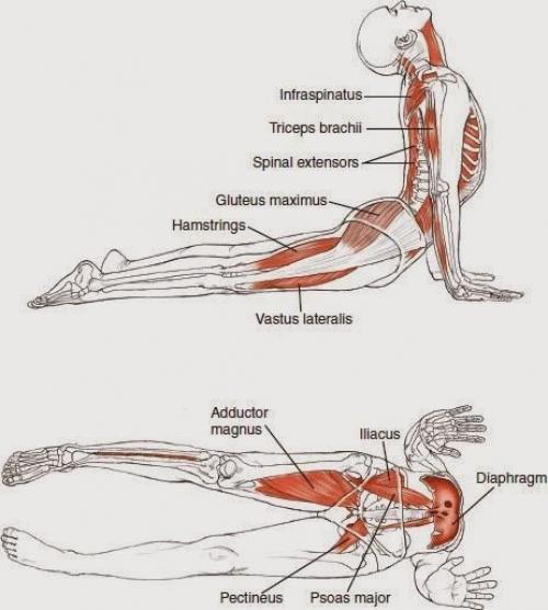 Растяжка всего тела! 08