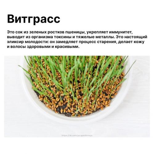 А вы знаете, что такое Суперфруд? 03