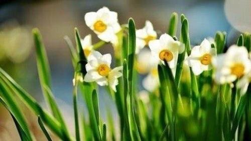 Доброе утро. Не разрешайте себе плохое настроение. 01