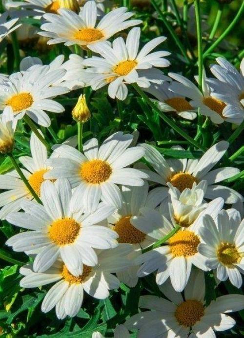 Кто у интернета - позитива и привета сидит! 05