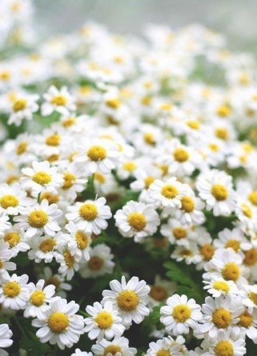 Кто у интернета - позитива и привета сидит! 01