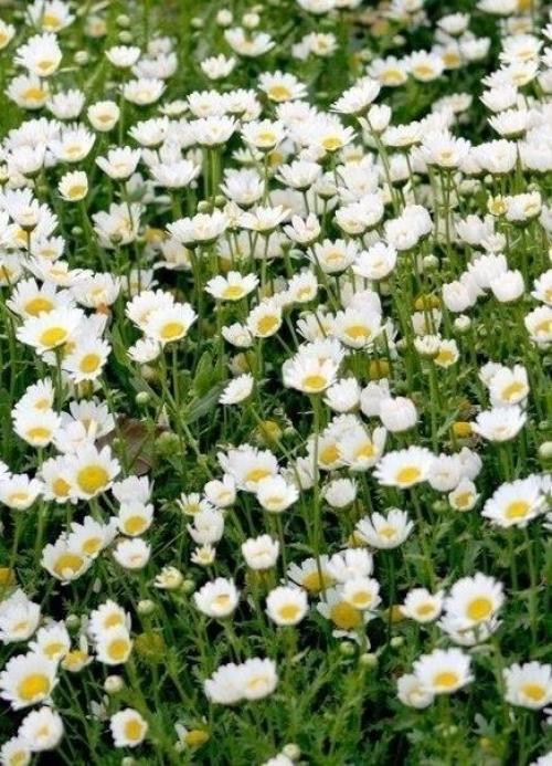 Кто у интернета - позитива и привета сидит! 03