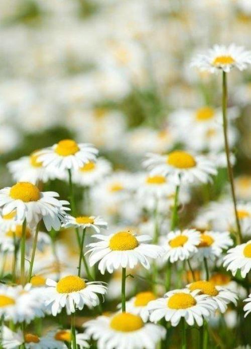 Кто у интернета - позитива и привета сидит! 02