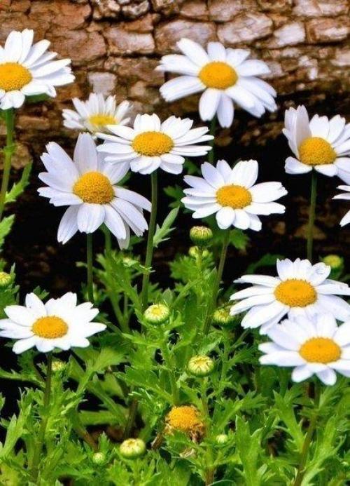 Кто у интернета - позитива и привета сидит! 04