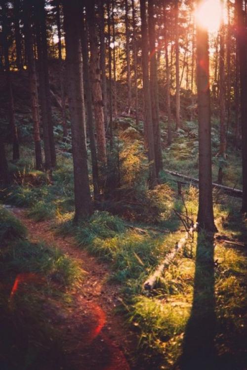 Сижу, пью кофе, анализирую. 02