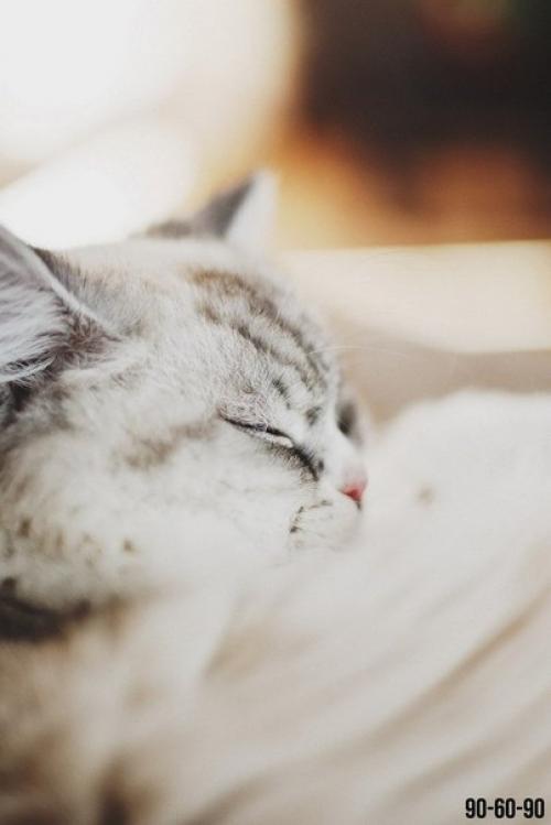 Сижу, пью кофе, анализирую. 05