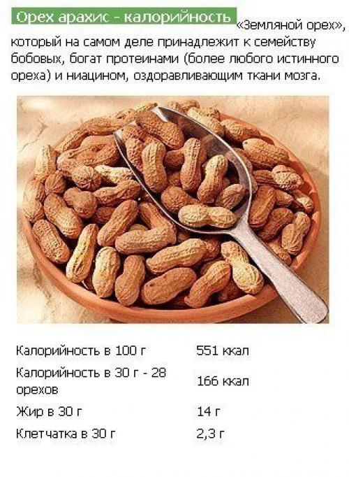 Орехи.  Поддержи свое здоровье? 08