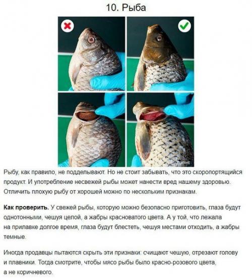 Как отличить качественную еду от химической, вредной для нашего здоровья? 05