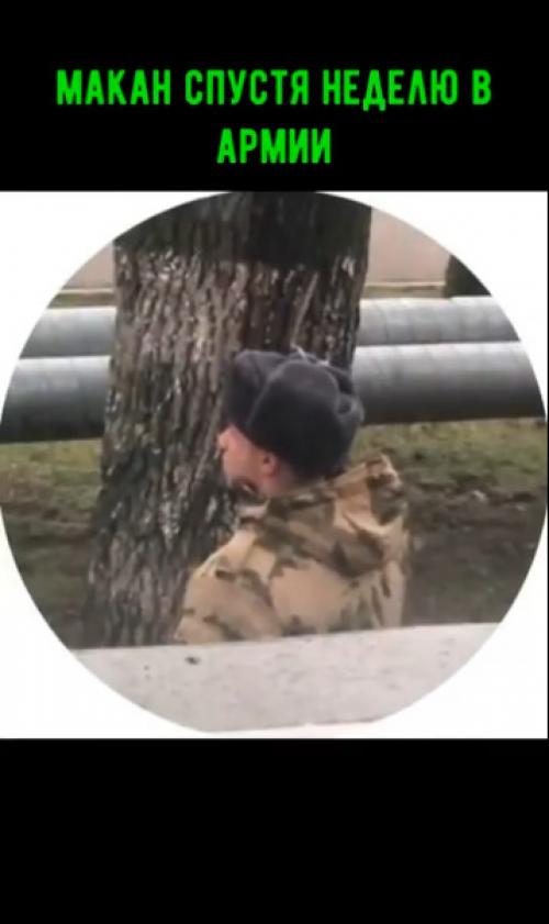 Спортсмен, зожник и сторонник правильных смыслов макан закурил спустя неделю в армии. 01