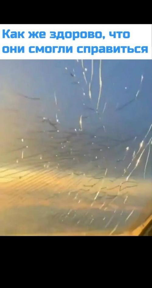 Рейс из Европы в Бразилию пришлось отменить из-за повреждённого стекла кабины. 01