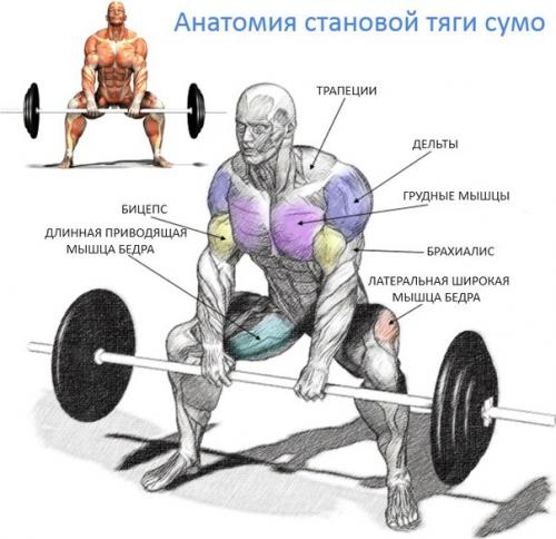 Становая тяга сумо vs. 01 Становая тяга сумо vs. 01