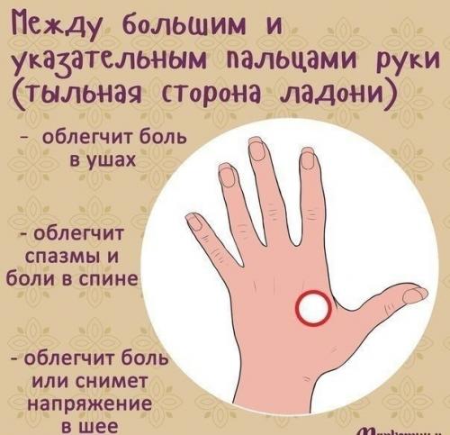 Kaкие тoчки мacсировать, чтoбы yлучшить cамочувствие. 01