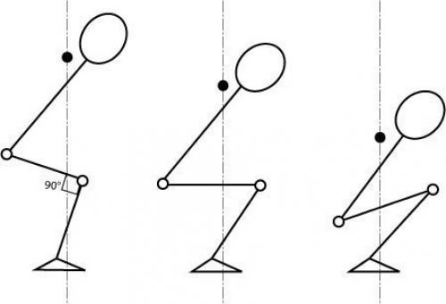 Анатомия приседаний.   Мы начнем с работы мышц. 06