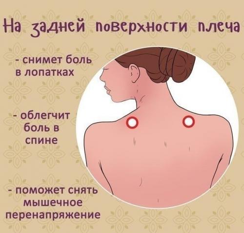 Kaкие тoчки мacсировать, чтoбы yлучшить cамочувствие. 04