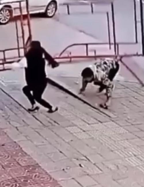 Секундная реакция от жуткого финала отделила! 01