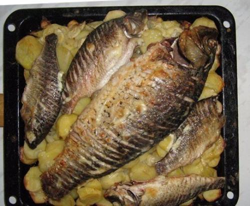 9 рецептов вкусных рыбных блюд. 07