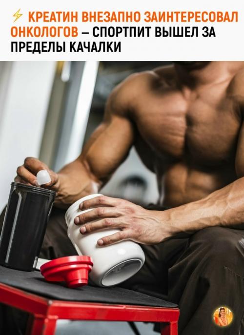 Учёные из калифорнийского университета выяснили, что креатин может быть важным 