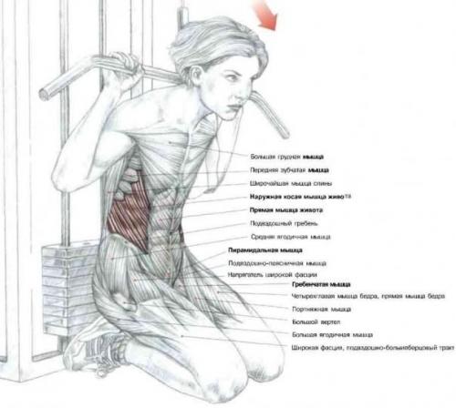 Выполняй Сетом?  Мы убиваем пресс? 01