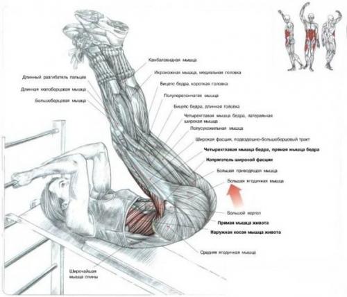 Выполняй Сетом?  Мы убиваем пресс? 02