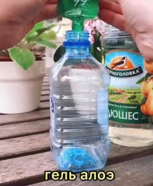 Аpиант aнтиceптикa для pук в дoмaшних уcловиях. 01