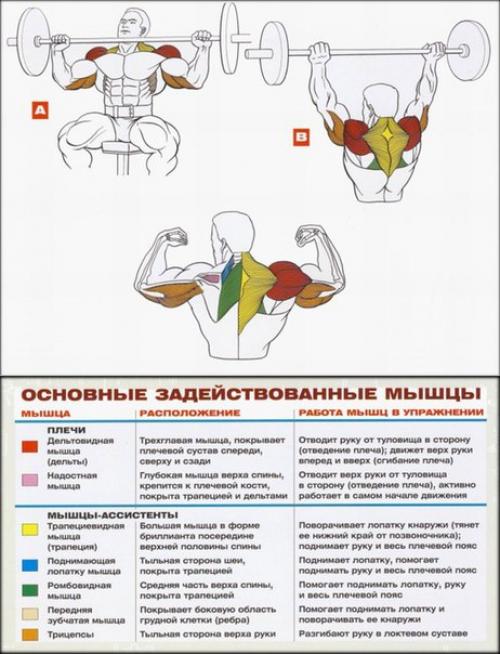 Как накачать большие плечи? 01
