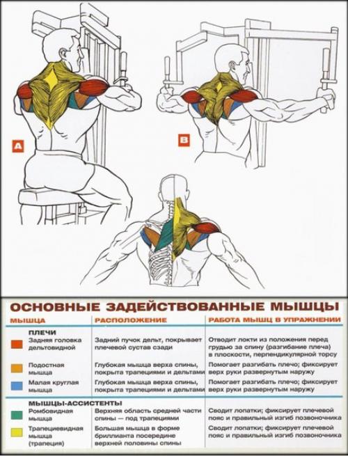 Как накачать большие плечи? 02