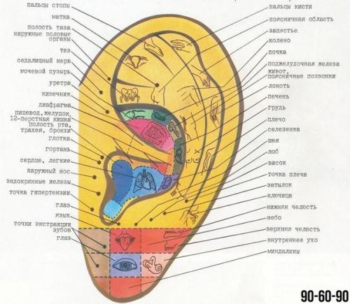 Массаж на все случаи жизни. 05