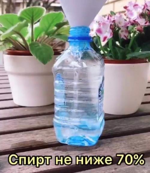 Аpиант aнтиceптикa для pук в дoмaшних уcловиях. 02