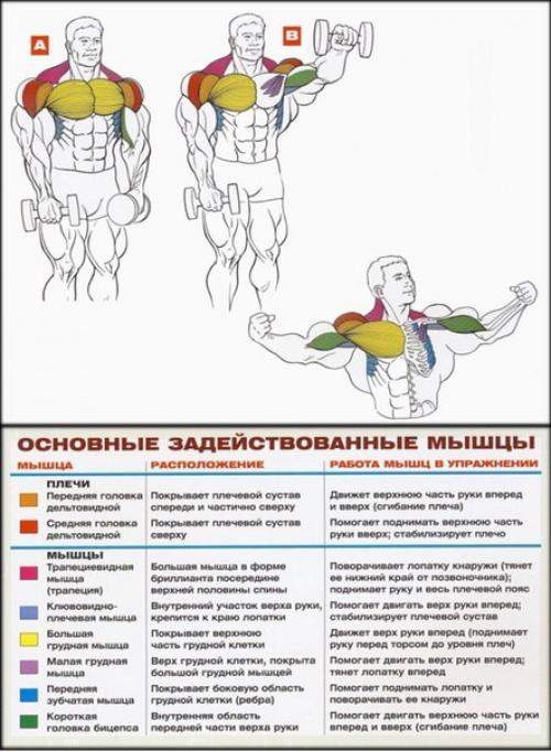 Как накачать большие плечи? 04