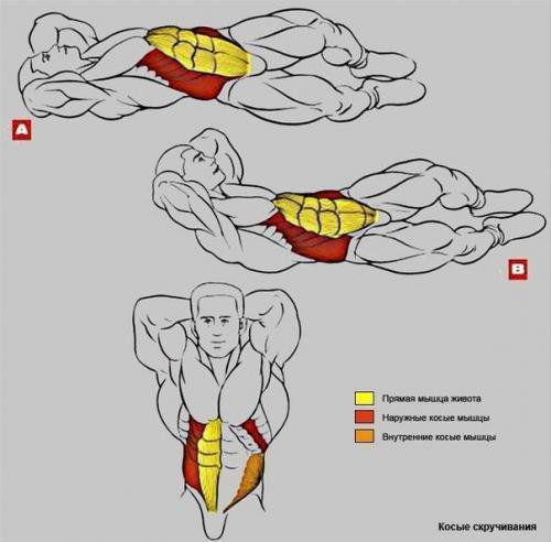 Убойная прокачка пресса: упражнения анатомия! 05