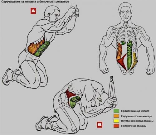 Убойная прокачка пресса: упражнения анатомия! 02