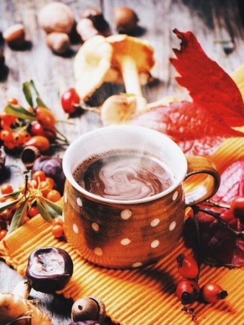 Я хочу пожелать вам маленьких радостей. 04