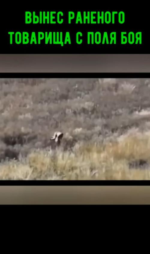 В ДНР боец нёс раненого товарища 2, 5 километра под огнём и получил представление к ордену мужества! 01