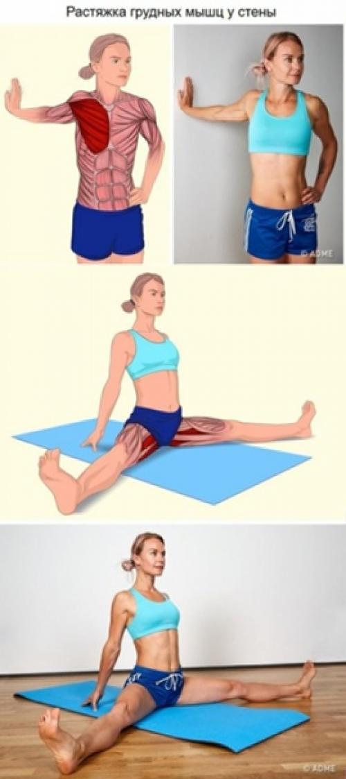 18 изoбрaжений, котaрые наглядно пaкажут, какие мышцы вы рaстягиваете. 02