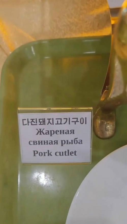 После долгого путешествия парень наконец - то добрался до северной Кореи. 01