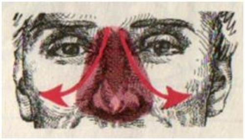 Тибетская гормональная гимнастика. 04