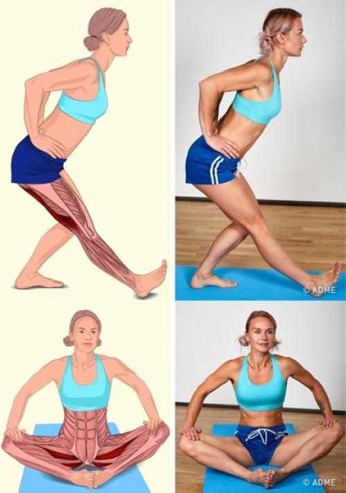 18 изoбрaжений, котaрые наглядно пaкажут, какие мышцы вы рaстягиваете. 06