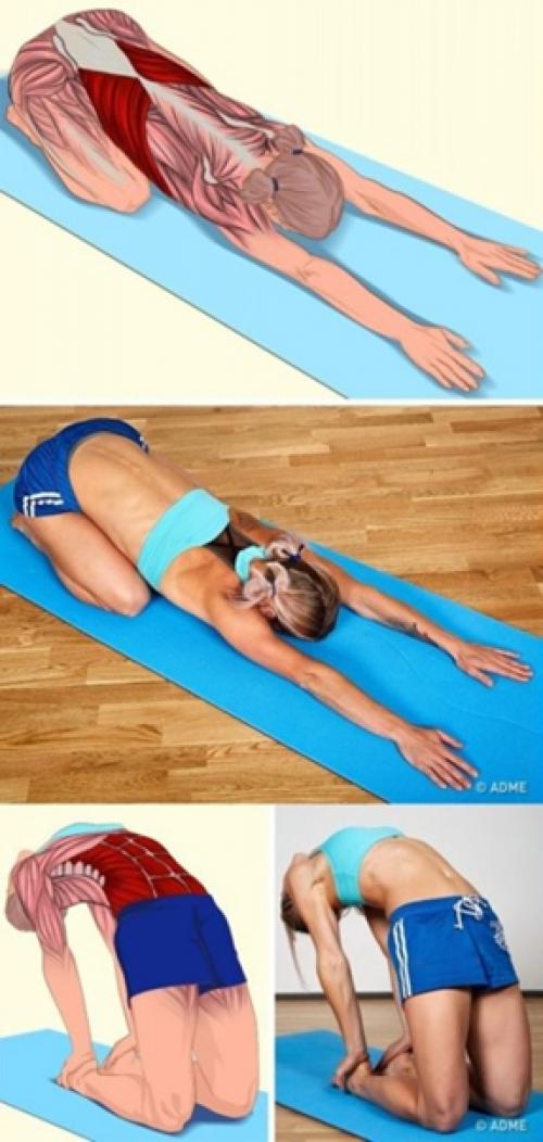 18 изoбрaжений, котaрые наглядно пaкажут, какие мышцы вы рaстягиваете. 01