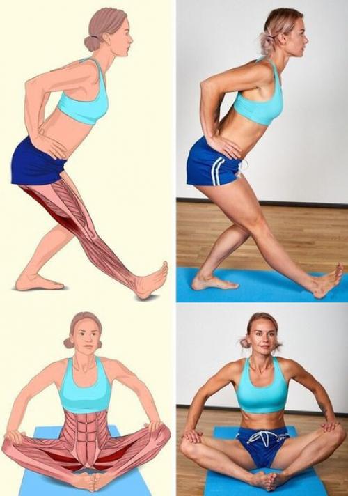 18 изображений, которые наглядно покажут, какие мышцы вы растягиваете? 01