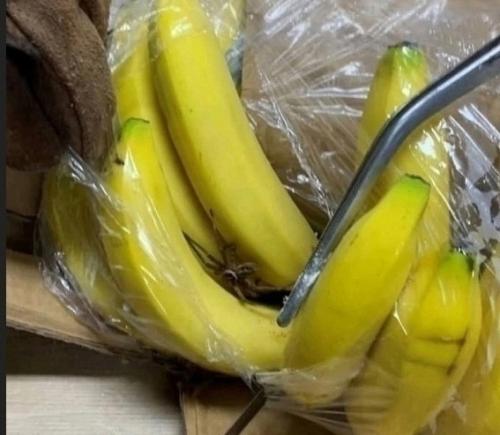 Банановый Паук из магазина магнит причиной гибели семьи стал. 01