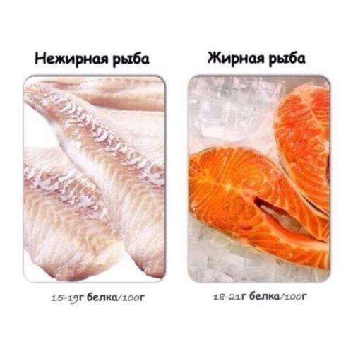 Содержание белка в распространенных продуктах. 01