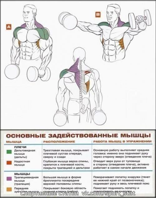 Стратегия тренировки массивных плеч. 05 Стратегия тренировки массивных плеч. 05