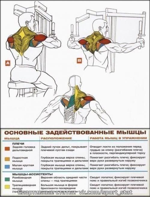 Стратегия тренировки массивных плеч. 02 Стратегия тренировки массивных плеч. 02