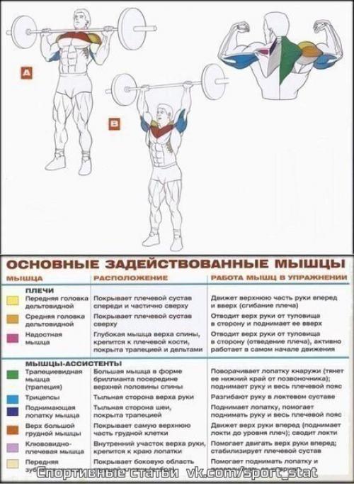 Стратегия тренировки массивных плеч. 03 Стратегия тренировки массивных плеч. 03