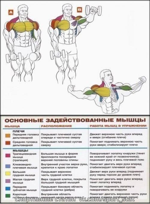 Стратегия тренировки массивных плеч. 01 Стратегия тренировки массивных плеч. 01