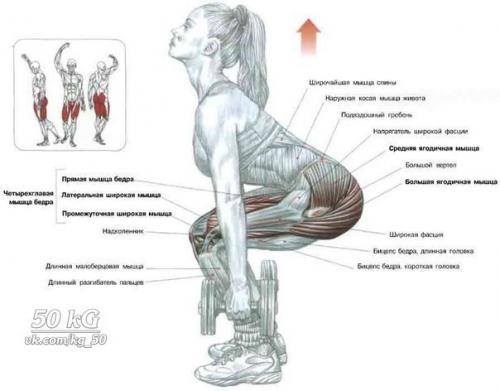 Ноги!  Только лучшее анатомия. 04