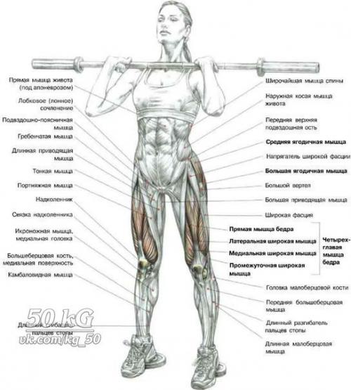 Ноги!  Только лучшее анатомия. 03