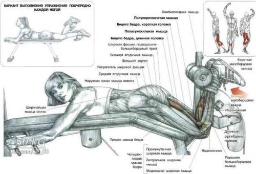Ноги!  Только лучшее анатомия. 02